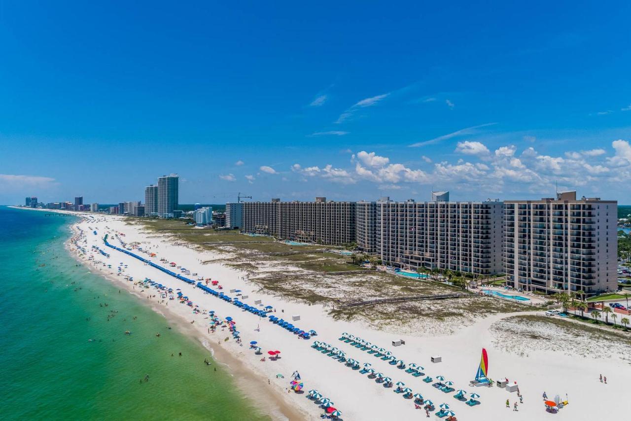 Phoenix VI By Brett Robinson Orange Beach Luaran gambar